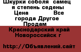 Шкурки соболя (самец) 1-я степень седены › Цена ­ 12 000 - Все города Другое » Продам   . Краснодарский край,Новороссийск г.